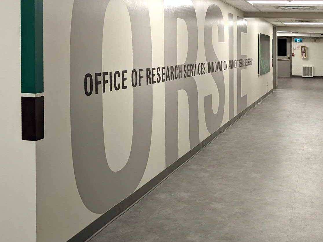 Custom large-format hallway graphics transforming an office corridor with branded wall treatments.