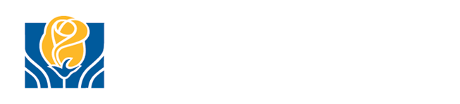 City of Brampton wordmark used across municipal communications and creative campaigns.