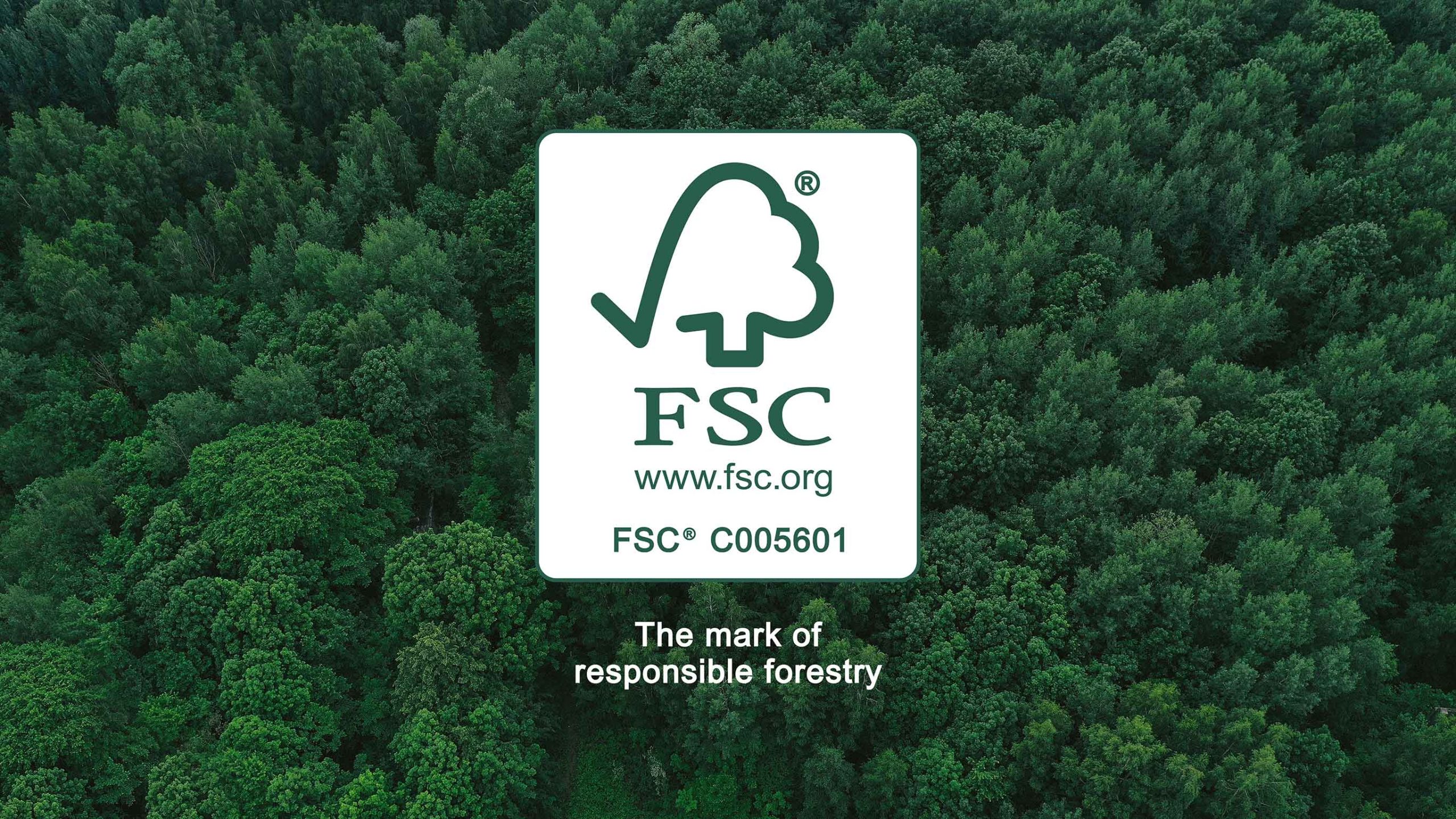FSC certified printed material demonstrating environmentally responsible commercial printing.