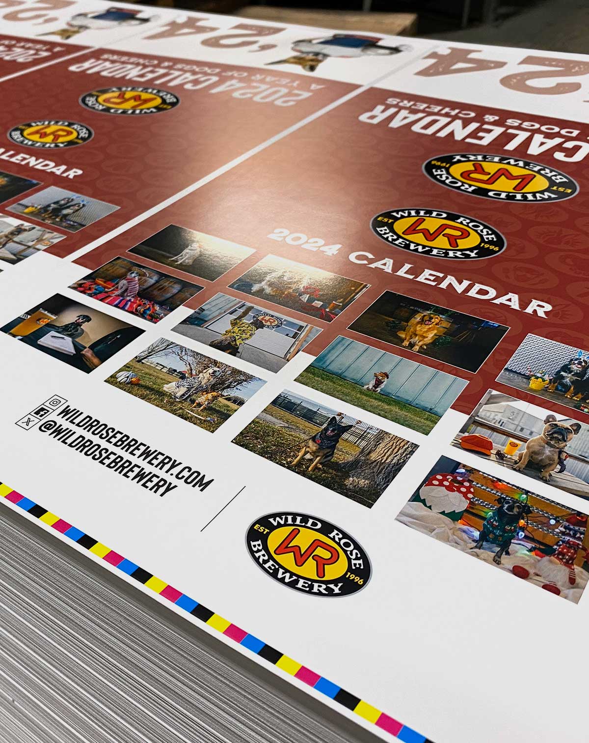 Colourful professionally printed marketing collateral produced using commercial offset printing.