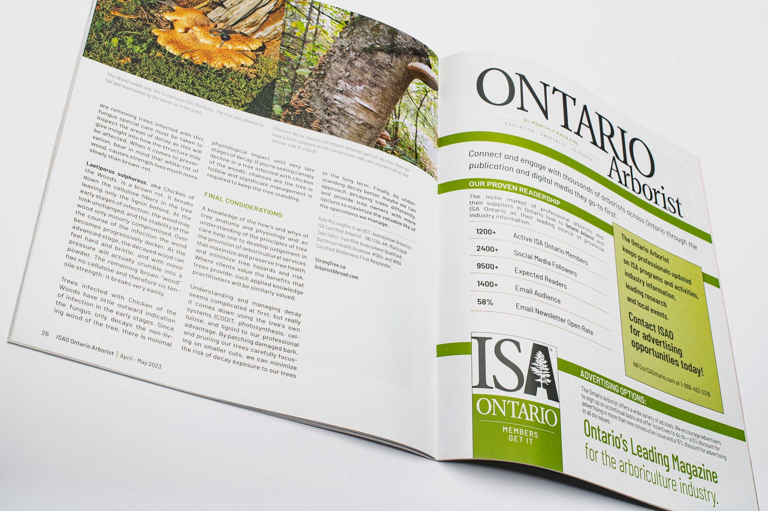 Professionally offset printed corporate publication featuring high-quality editorial layouts and imagery.