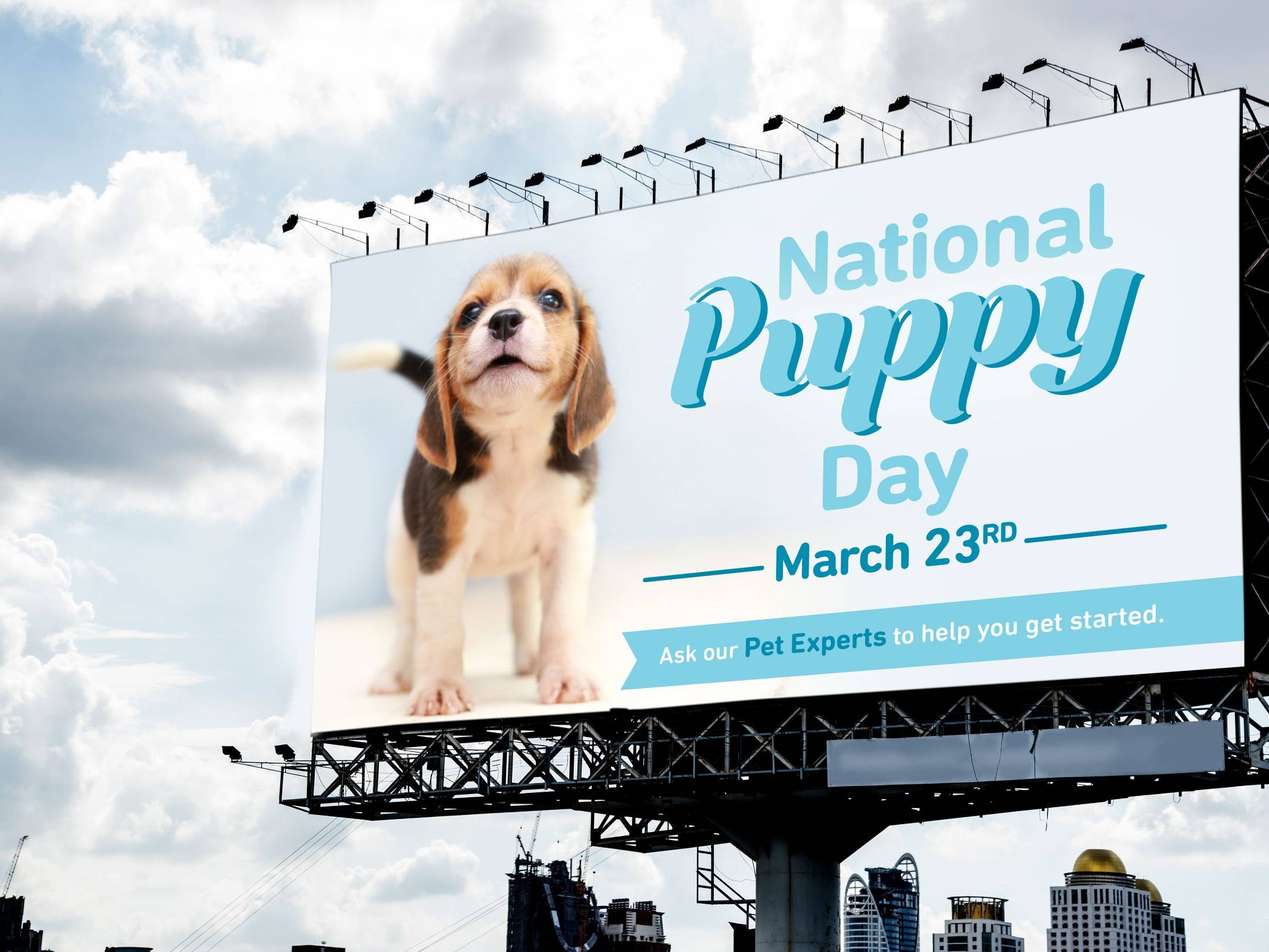 Pet Valu outdoor advertising creative featuring a dog for a National Puppy Day promotional campaign.