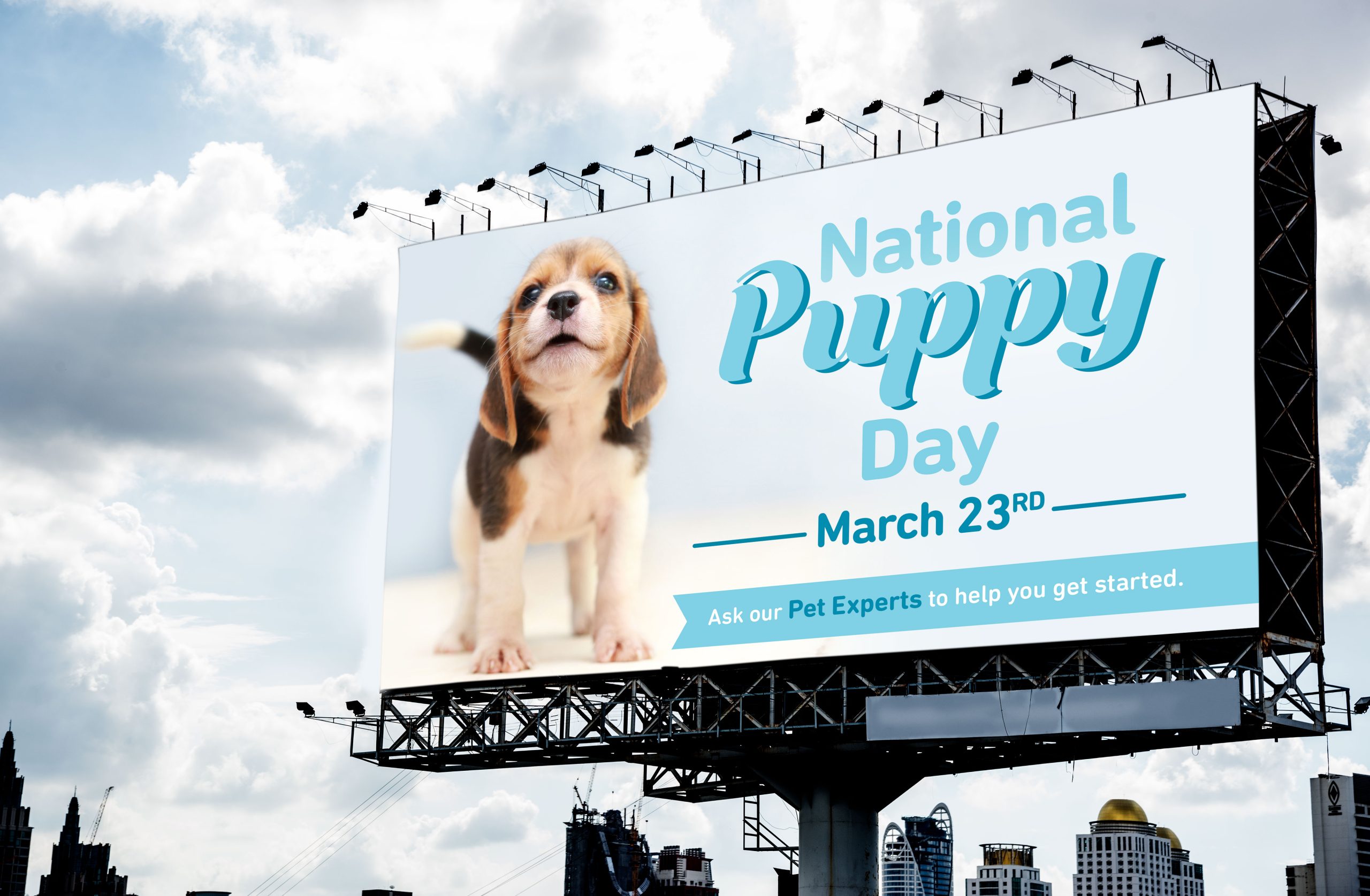 Pet Valu outdoor advertising creative featuring a dog for a National Puppy Day promotional campaign.